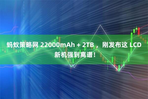 蚂蚁策略网 22000mAh + 2TB ，刚发布这 LCD 新机强到离谱！