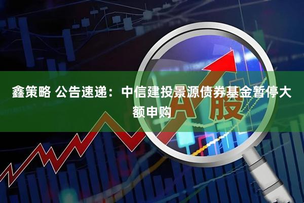 鑫策略 公告速递：中信建投景源债券基金暂停大额申购