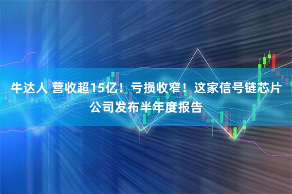 牛达人 营收超15亿！亏损收窄！这家信号链芯片公司发布半年度报告