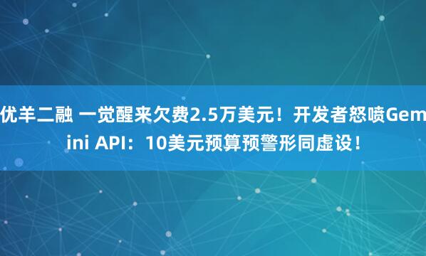 优羊二融 一觉醒来欠费2.5万美元！开发者怒喷Gemini API：10美元预算预警形同虚设！